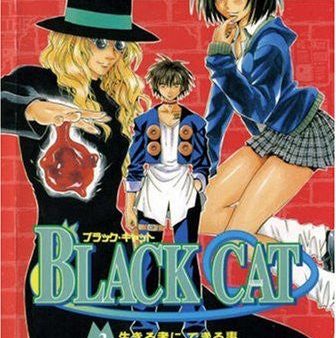 (Idioma Inglés) - Black Cat, Vol. 3 Tapa blanda (Tara estética) Reacondicionado For Sale